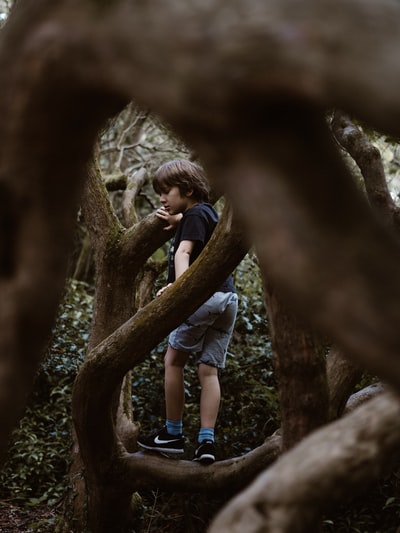 站在树枝上的男孩